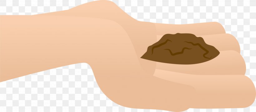 Thumb Shoulder Brown, PNG, 2000x874px, Thumb, Arm, Brown, Ear, Finger Download Free