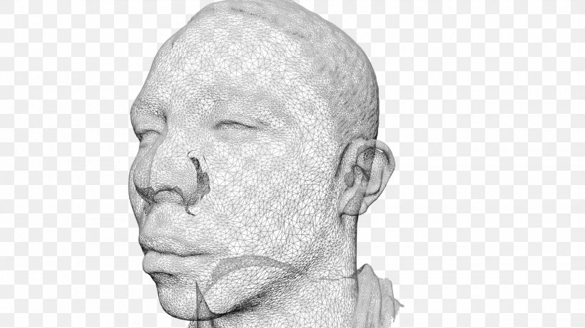 Website Wireframe Wire-frame Model Human Head Nose Sketch, PNG, 1920x1080px, Website Wireframe, Artwork, Black And White, Cheek, Chin Download Free