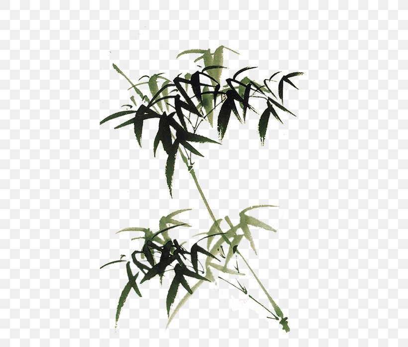 Bamboo Gratis Download Computer File, PNG, 700x697px, Bamboo, Bamboe, Branch, Coreldraw, Flora Download Free
