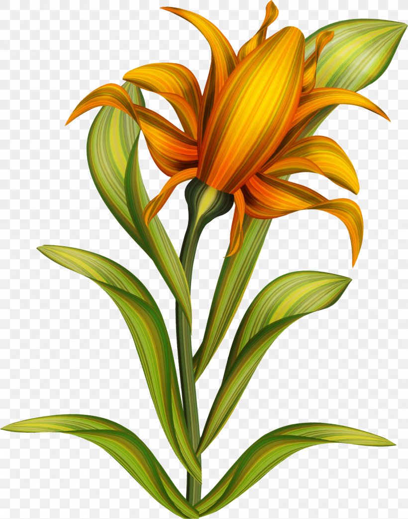 Drawing Painting Art Clip Art, PNG, 1872x2377px, Drawing, Art, Color, Cut Flowers, Daylily Download Free