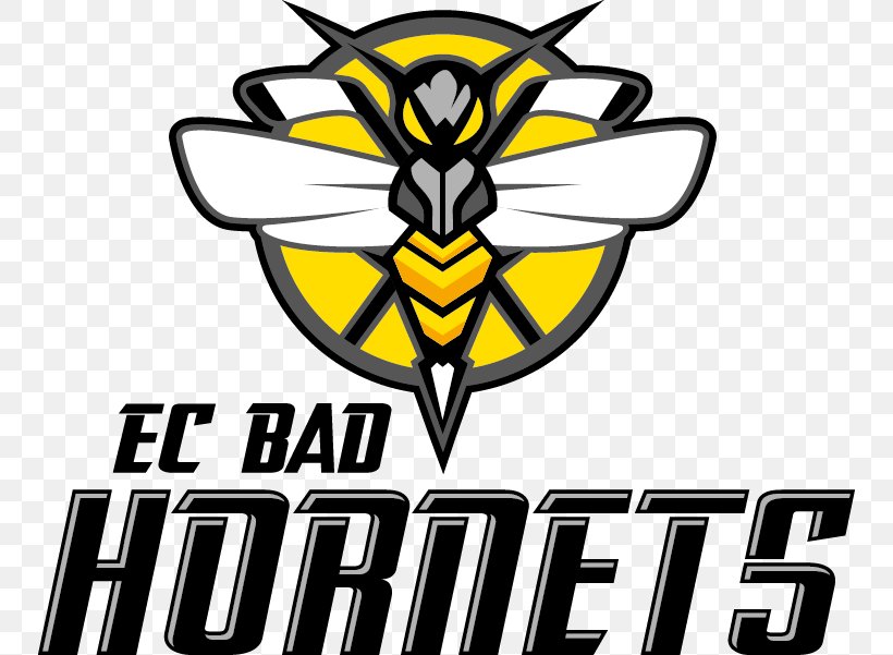 EC Bad Hornets Feldkirch Dornbirn Vorarlberger Eishockeyverband Messestadion, PNG, 750x601px, 2017, 2018, Dornbirn, Artwork, Brand Download Free