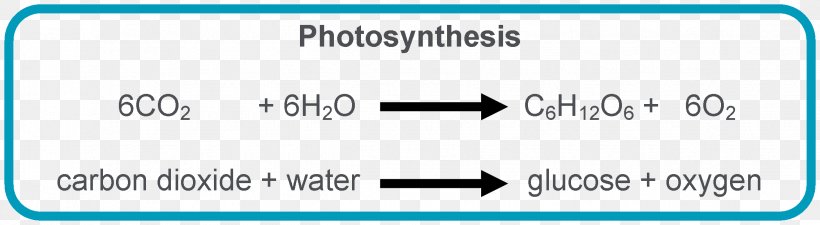 Photosynthesis Equation Chloroplast Light-dependent Reactions Symbiogenesis, PNG, 2269x623px, Photosynthesis, Area, Balance Equation, Biology, Blue Download Free