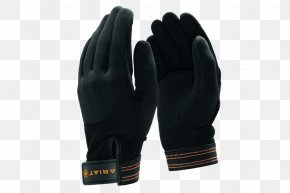 Insulation Gloves - Cycling Glove Ariat Equestrian Clothing PNG