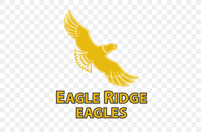 Eagle Ridge Elementary School Student Spiritridge Elementary School, PNG, 500x540px, School, Beak, Bellevue School District, Bird, Brand Download Free