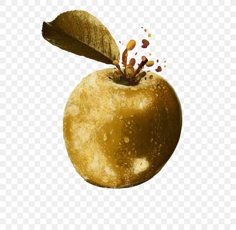 Hesperides Golden Apple Fruit, PNG, 586x800px, Hesperides, Apple, Apple Of Discord, Auglis, Food Download Free