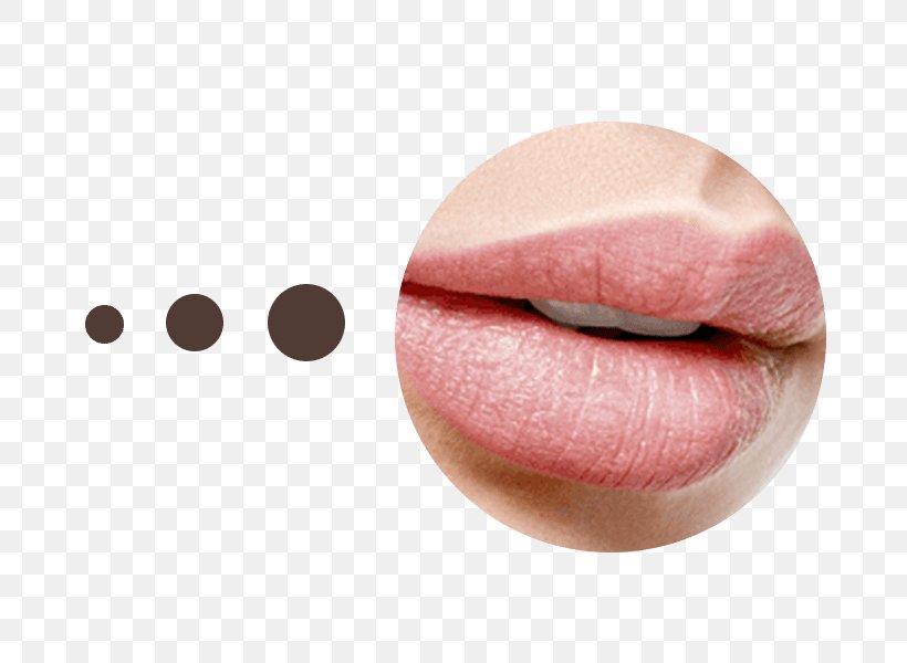 Lip Gloss Permanent Makeup Make-up Contur Line, PNG, 800x600px, Lip Gloss, Cheek, Cosmetics, Institute, Lip Download Free