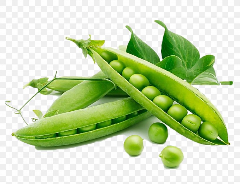 Snow Pea Organic Food Vegetable Legume, PNG, 984x754px, Snow Pea, Chicory, Crop, Dietary Fiber, Food Download Free