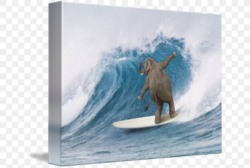 Surfing Surfboard Elephant Longboarding, PNG, 650x551px, Surfing, Art, Boardsport, Elephant, Elephant Surf Download Free