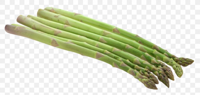 Asparagus Clip Art, PNG, 1024x488px, Asparagus, Commodity, Food, Green Bean, Vegetable Download Free