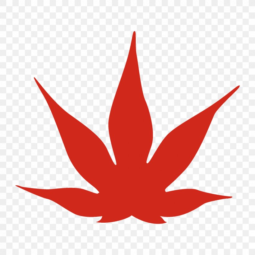 Maple Leaf Autumn Leaf Fall Leaf, PNG, 1200x1200px, Maple Leaf, Autumn Leaf, Fall Leaf, Hemp Family, Leaf Download Free