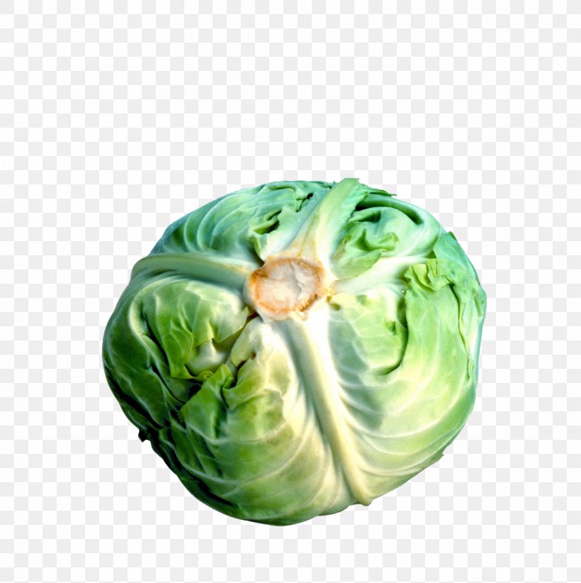 Savoy Cabbage Cauliflower Broccoli Brussels Sprout, PNG, 1278x1282px, Cabbage, Brassica Oleracea, Broccoli, Brussels Sprout, Cauliflower Download Free
