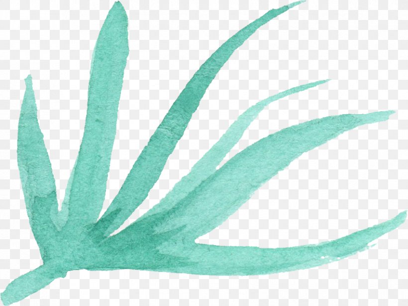 Turquoise Leaf Teal Feather, PNG, 851x638px, Turquoise, Aqua, Com, Feather, Leaf Download Free