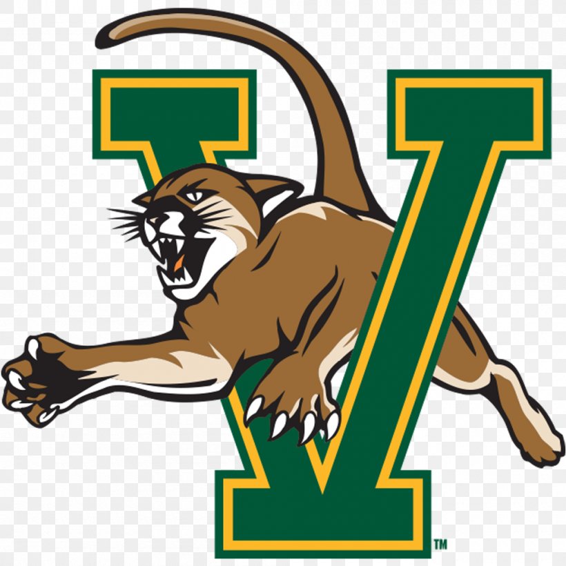 University Of Vermont Vermont Catamounts Men's Basketball Vermont Catamounts Women's Ice Hockey Boston College, PNG, 1000x1000px, University Of Vermont, America East Conference, Area, Artwork, Basketball Download Free