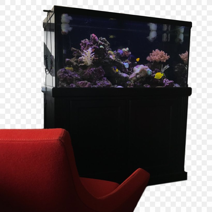 Benjamin's Aquarium Services Reef Aquarium Ullas Aquarium Siphon, PNG, 1686x1686px, Aquarium, Business, Calgary, Coral Reef, Flowerpot Download Free