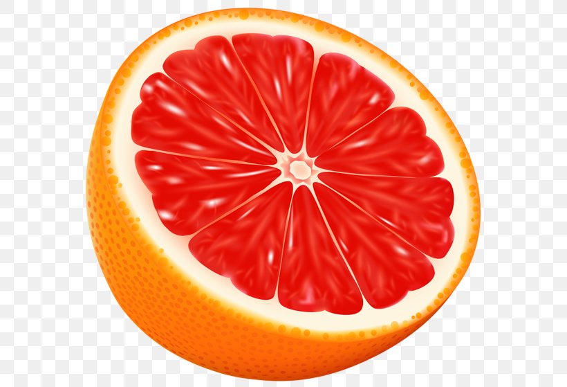 Blood Orange Grapefruit Juice Rangpur Clip Art, PNG, 600x559px, Blood Orange, Citric Acid, Citrus, Diet Food, Food Download Free