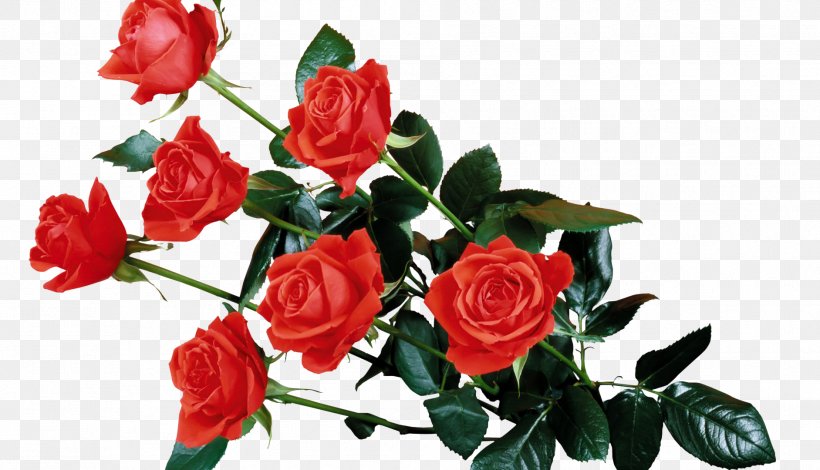 Desktop Wallpaper Rose Flower Clip Art, PNG, 1883x1080px, Rose, Artificial Flower, Cut Flowers, Display Resolution, Floral Design Download Free