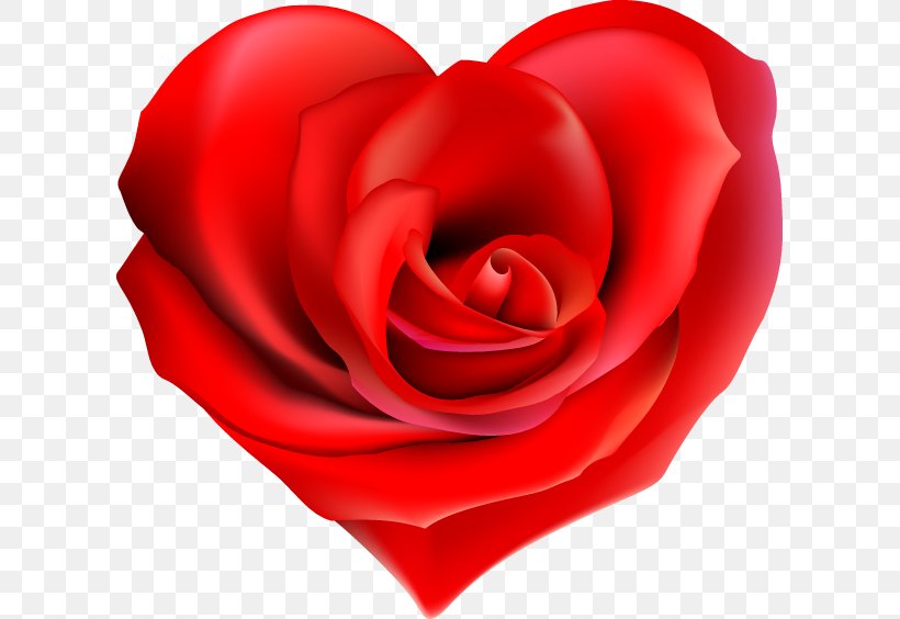 Garden Roses Heart Valentine's Day Cut Flowers, PNG, 607x564px, Rose, Close Up, Cut Flowers, Floribunda, Flower Download Free