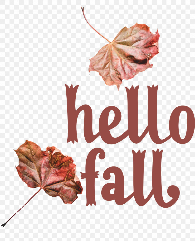 Hello Fall Fall Autumn, PNG, 2429x3000px, Hello Fall, Autumn, Fall, Floral Design, Meter Download Free