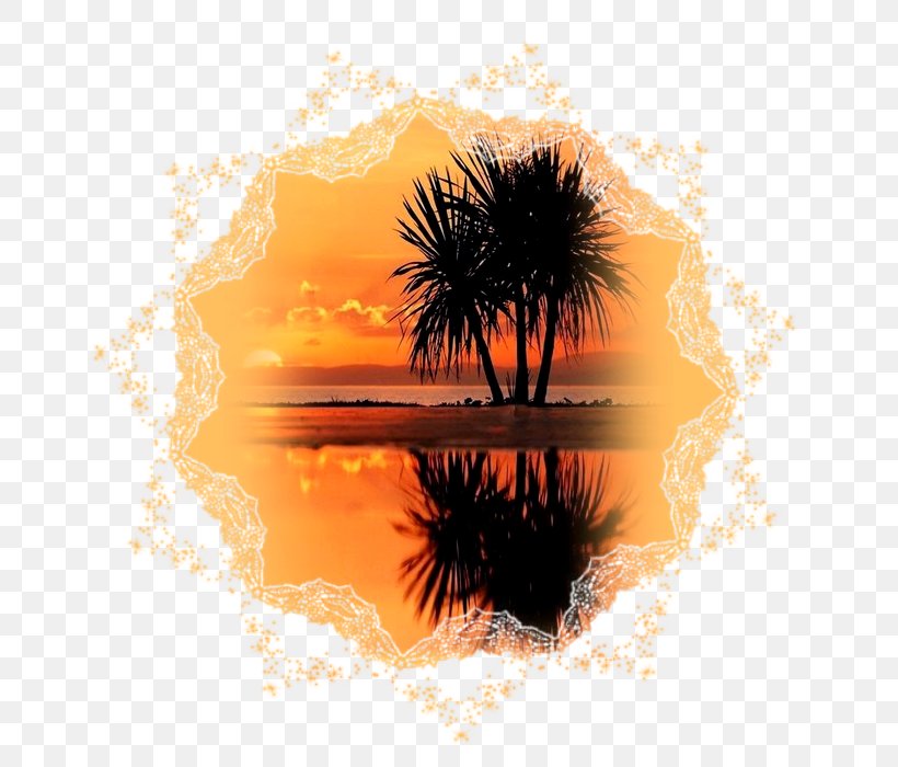 Landscape Sunset Nature Sunrise Image, PNG, 700x700px, Landscape, Arecales, Beach, Daylight, Drawing Download Free