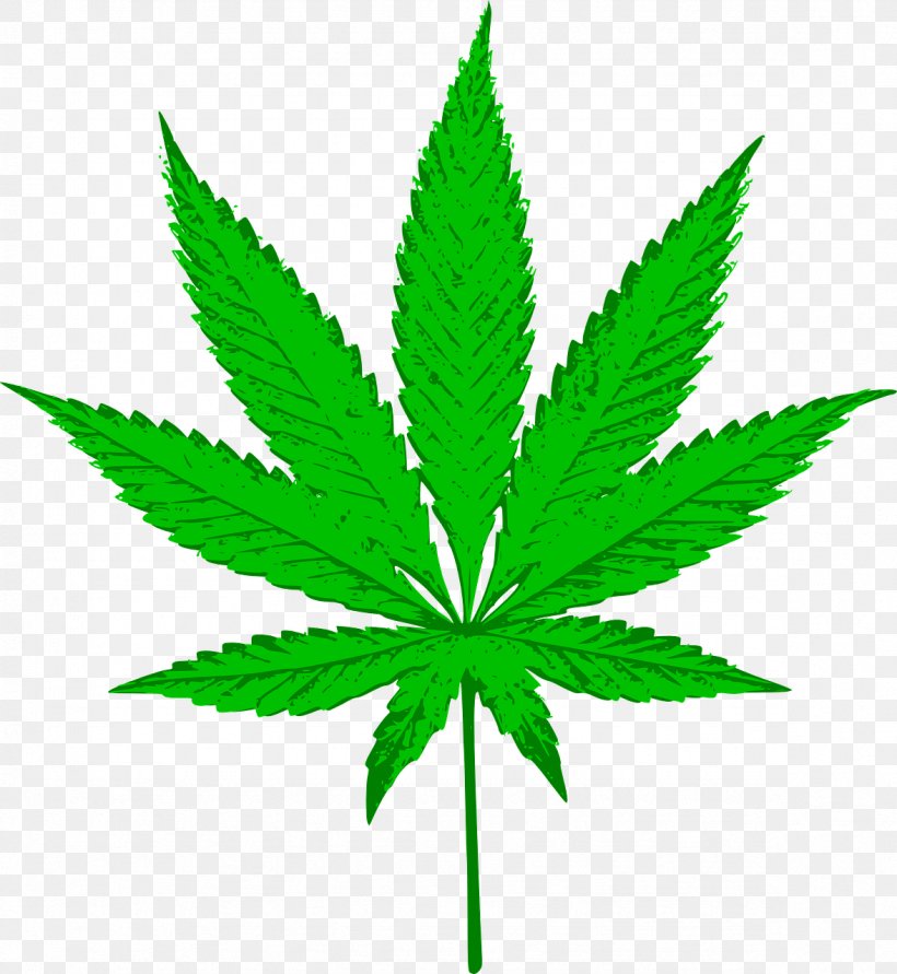 Cannabis Sativa Medical Cannabis Clip Art, PNG, 1177x1280px, Hash Marihuana Hemp Museum, Cannabis, Cannabis Cultivation, Cannabis Sativa, Cannabis Smoking Download Free