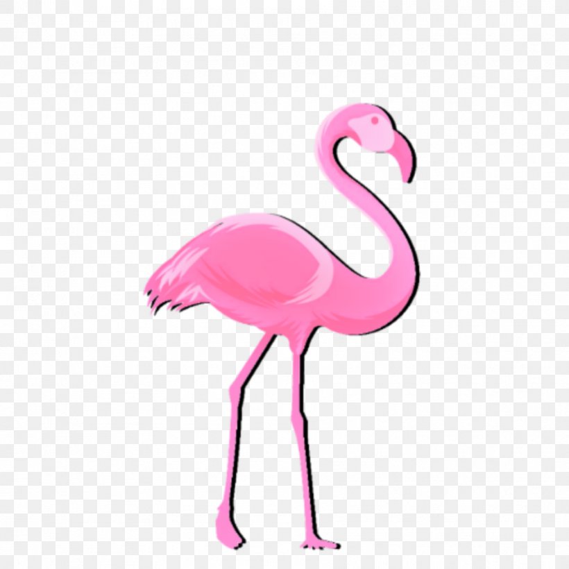 Flamingo, PNG, 1773x1773px, Bird, Beak, Flamingo, Greater Flamingo, Neck Download Free