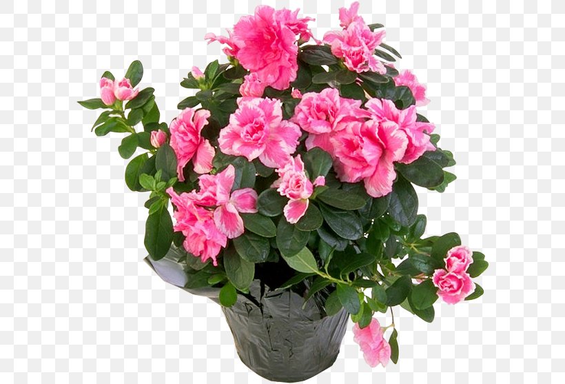 Flower Bouquet Floristry Cut Flowers Pink Flowers, PNG, 600x557px, Flower Bouquet, Annual Plant, Artificial Flower, Azalea, Birthday Download Free