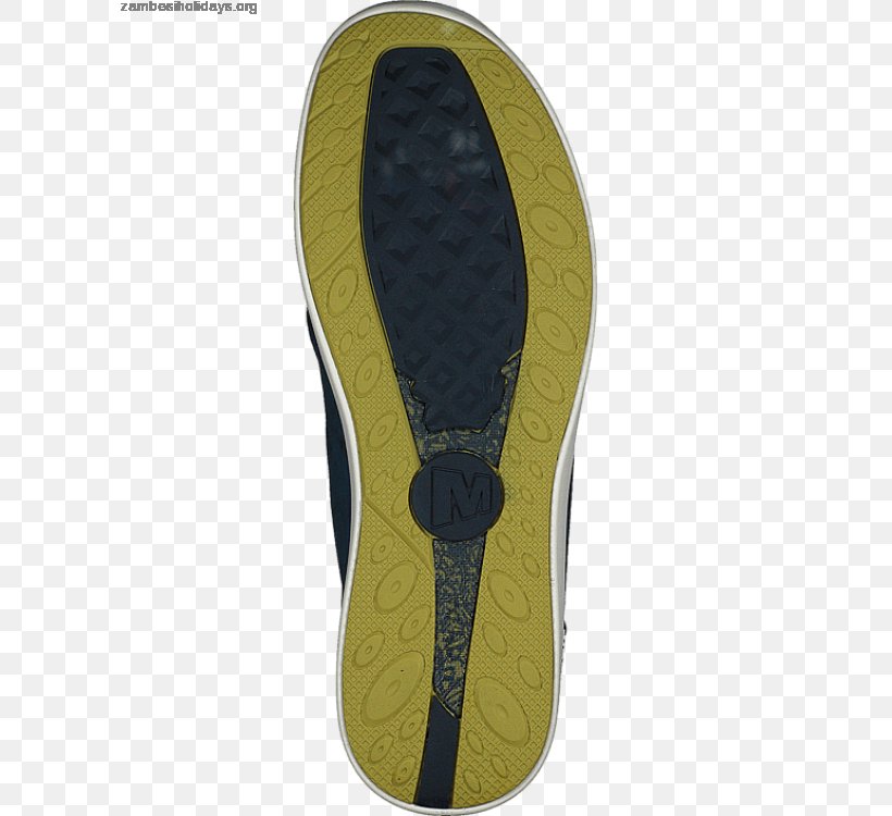 Slipper Flip-flops Shoe, PNG, 600x750px, Slipper, Flip Flops, Flipflops, Footwear, Outdoor Shoe Download Free