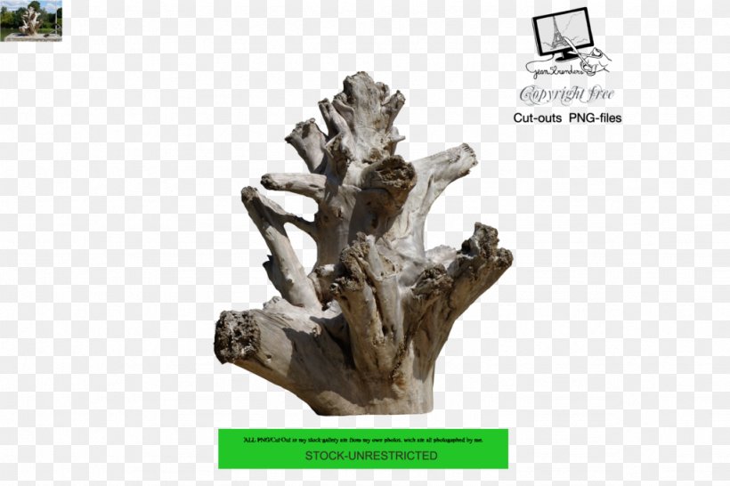 Tree Driftwood Trunk Branch, PNG, 1024x682px, Tree, Branch, Deviantart, Digital Art, Driftwood Download Free