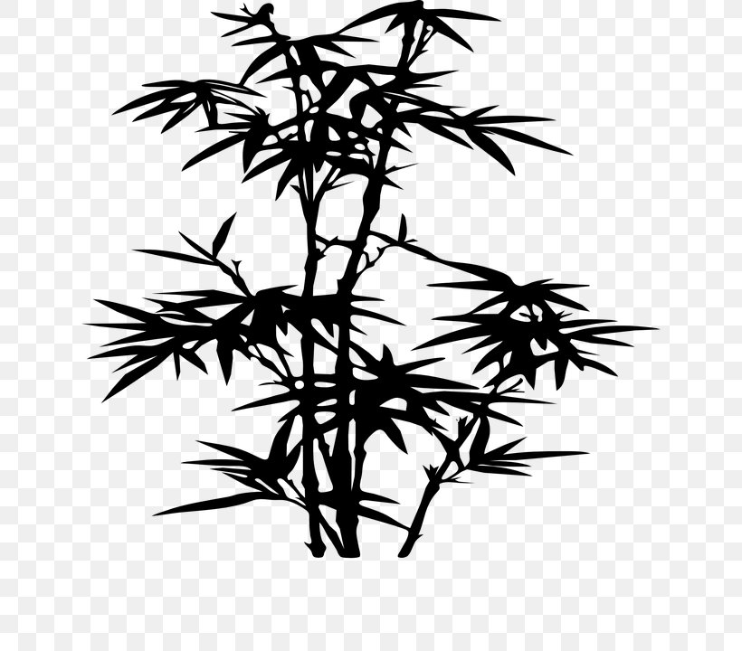Tropical Woody Bamboos Silhouette Drawing Stencil, PNG, 640x720px, Tropical Woody Bamboos, Black And White, Branch, Drawing, Flora Download Free