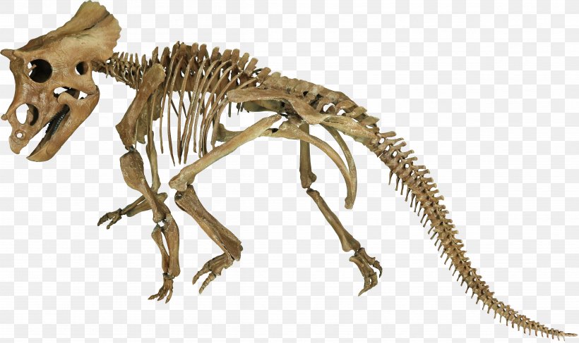 Tyrannosaurus Triceratops Late Cretaceous Hell Creek Formation Mosasaurus, PNG, 4833x2871px, Tyrannosaurus, Animal Figure, Carnivoran, Ceratopsia, Cretaceous Download Free