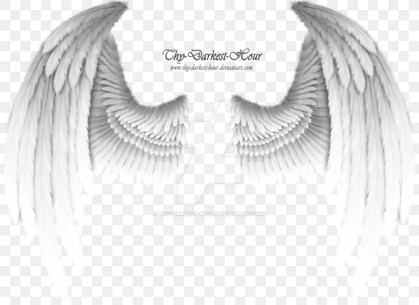 Angel Wing, PNG, 1024x745px, Angel, Angel Wing, Art, Black And White, Darkest Hour Download Free