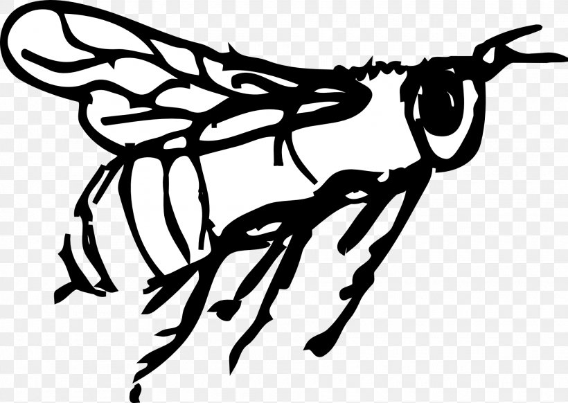 Bee Drawing Art Fly, PNG, 1920x1364px, Bee, Art, Artwork, Black And White, Branch Download Free