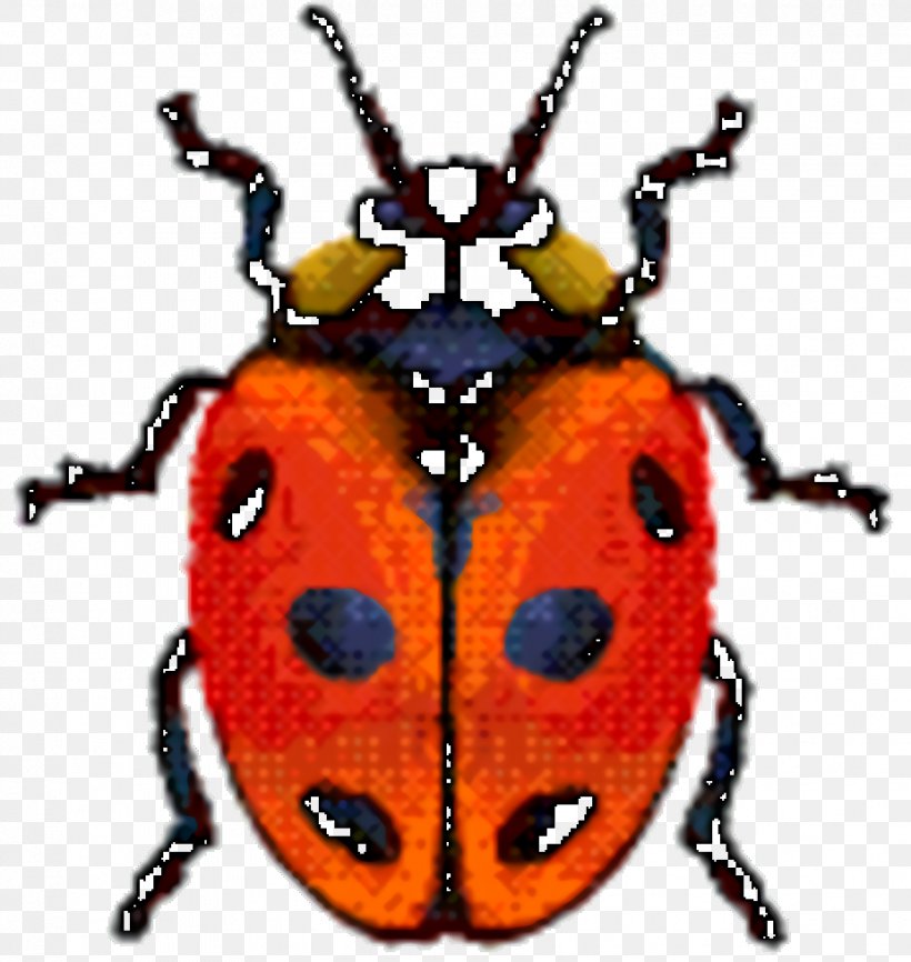 Bird, PNG, 926x978px, Weevil, Arthropod, Beetle, Blister Beetles, Bug Download Free