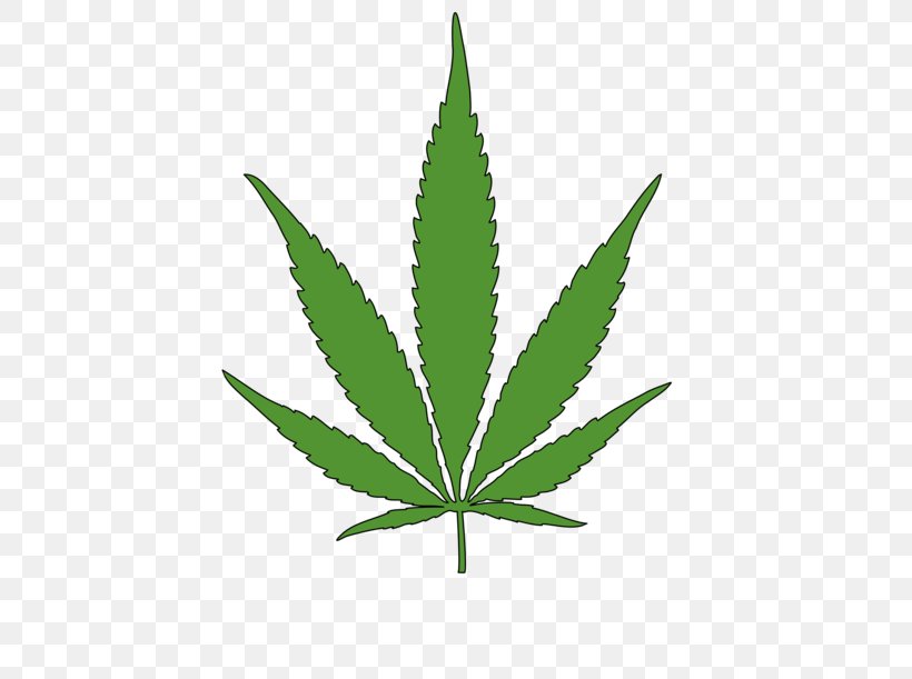 Canada Legality Of Cannabis Legalization Canadian Cannabis, PNG, 500x611px, 420 Day, Canada, Canadian Cannabis, Cannabis, Cannabis Sativa Download Free