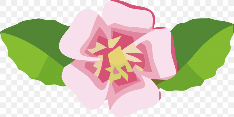 Flower Mallows Flora Text Mallow, PNG, 3000x1506px, Flower, Biology, Flora, Mallow, Mallows Download Free