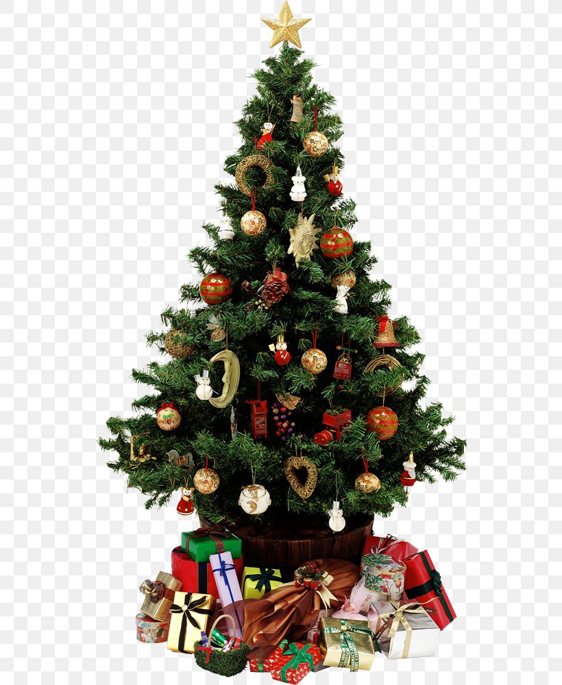 Christmas Tree A Visit From St. Nicholas Gift Santa Claus, PNG, 542x1000px, Christmas Tree, Advent, Christmas, Christmas Decoration, Christmas Eve Download Free