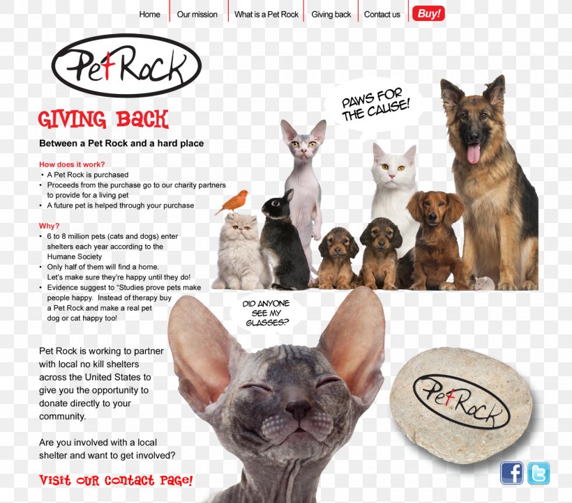 Pet Sitting Cat Veterinarian Dog, PNG, 1440x1268px, Pet Sitting, Animal Shelter, Carnivoran, Cat, Cat Like Mammal Download Free