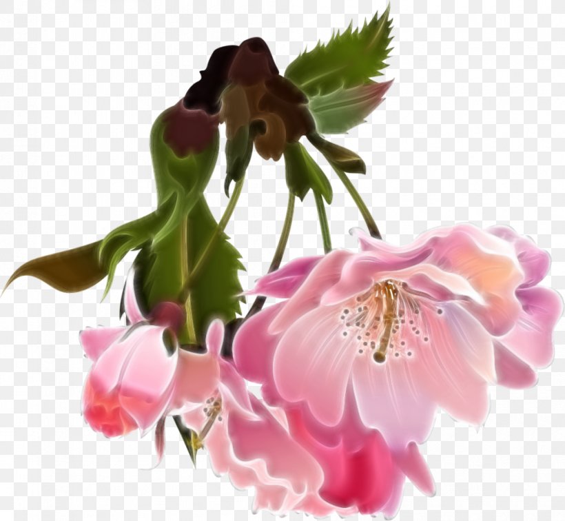 Apples Flower Blossom Clip Art, PNG, 990x913px, Apples, Alstroemeriaceae, Blossom, Cerasus, Cherry Blossom Download Free
