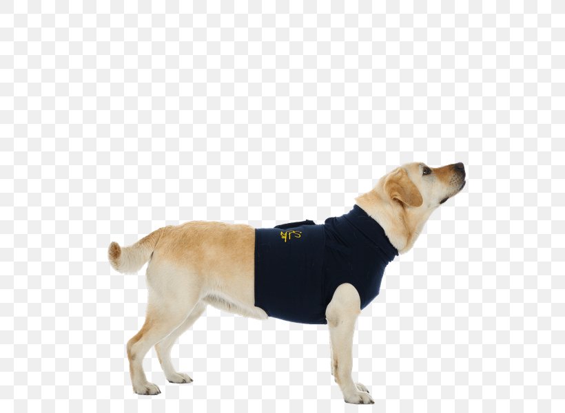 Labrador Retriever Dog Breed MPS-TOP Shirt, PNG, 600x600px, Labrador Retriever, Carnivoran, Clothing, Companion Dog, Dog Download Free