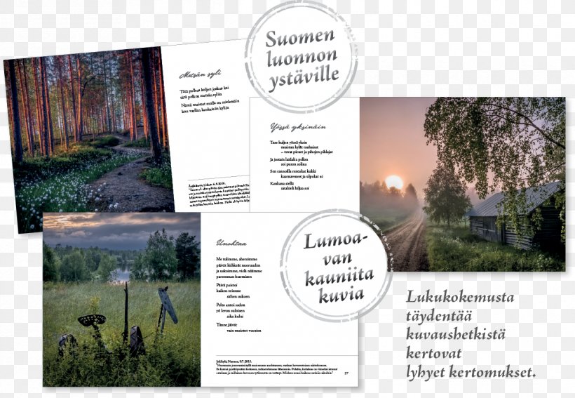 Landscape Nature M Brochure, PNG, 1217x842px, Landscape, Advertising, Brand, Brochure, Grass Download Free