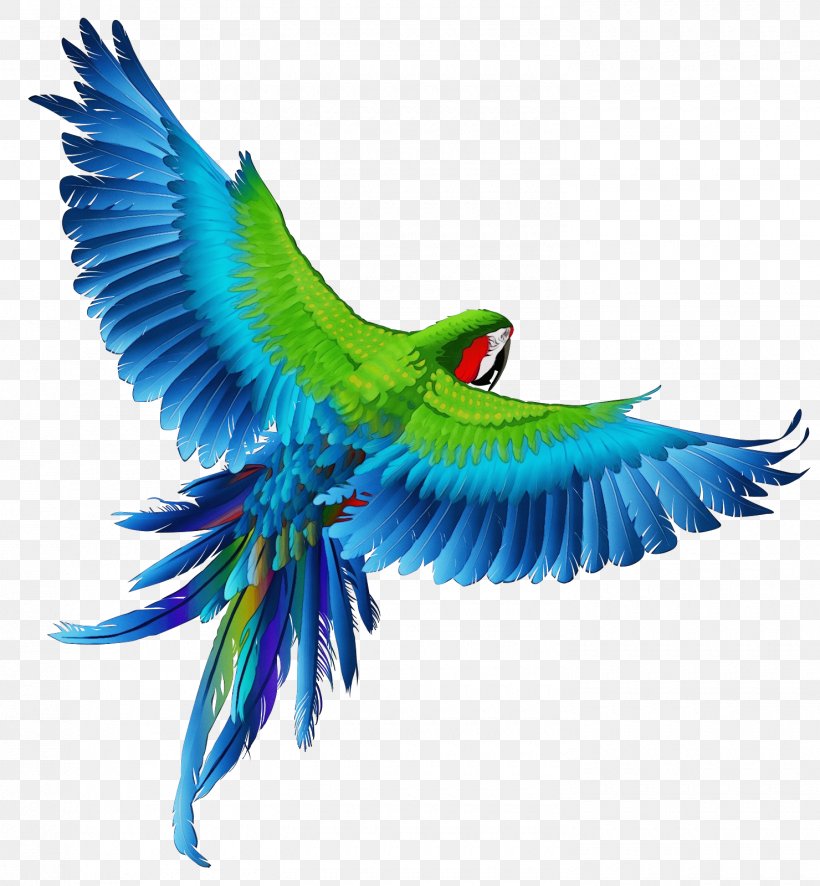 Bird Eagle Download Clip Art Drawing, PNG, 1480x1600px, Bird, Beak, Bird Of Prey, Budgie, Condor Download Free