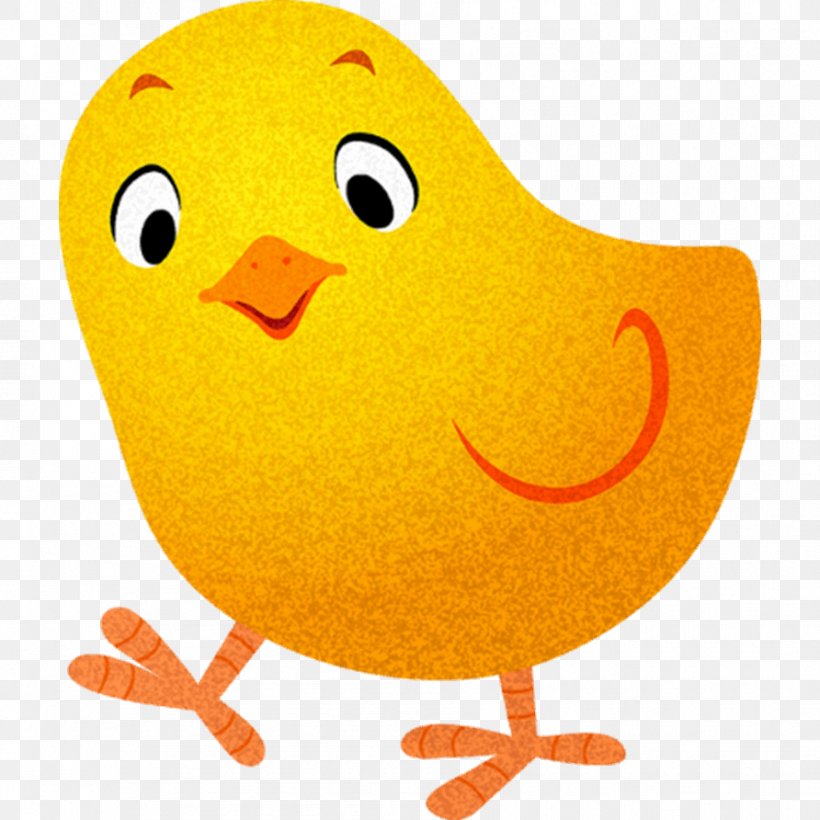 Chicken Sticker Child Image Drawing, PNG, 892x892px, Chicken, Adhesive, Beak, Bird, Chicken As Food Download Free