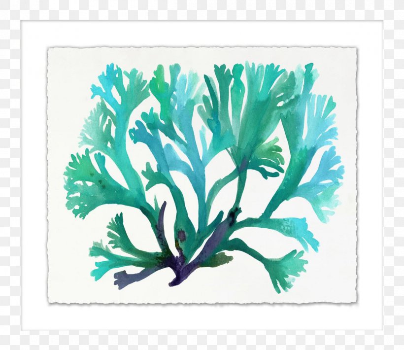 Graphics Illustration Leaf Plant Stem Art, PNG, 1200x1040px, Leaf, Art, Branch, Canvas, Centimeter Download Free