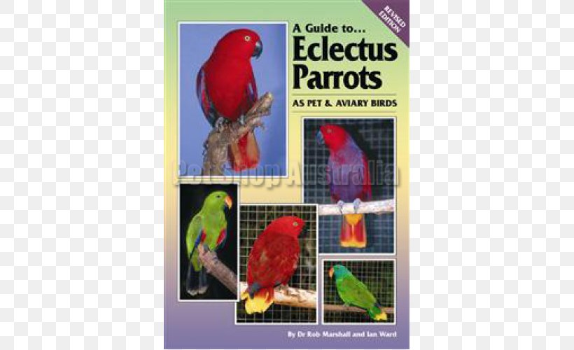 Loriini Lovebird Parrot Budgerigar Parakeet, PNG, 500x500px, Loriini, Advertising, Aviary, Beak, Bird Download Free