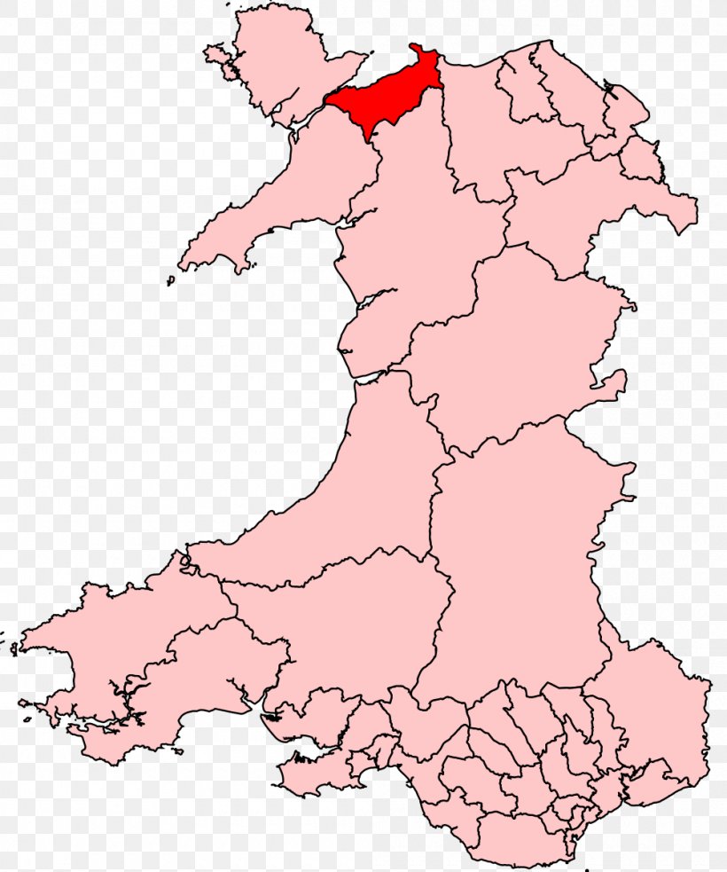 Aberconwy Clwyd Electoral District Map, PNG, 1000x1200px, Conwy, Area, Blank Map, Clwyd, Electoral District Download Free