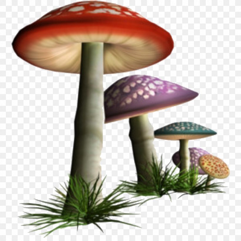 Edible Mushroom Fungus Clip Art Common Mushroom, PNG, 1024x1024px, Mushroom, Agaric, Amanita, Common Mushroom, Edible Mushroom Download Free