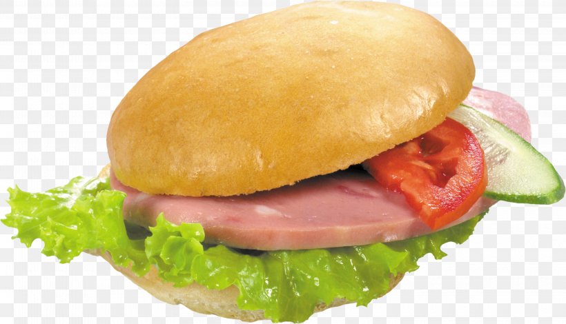 Hamburger Cheeseburger Hot Dog Fast Food, PNG, 3200x1838px, Hamburger, American Food, Bacon Sandwich, Blt, Breakfast Sandwich Download Free