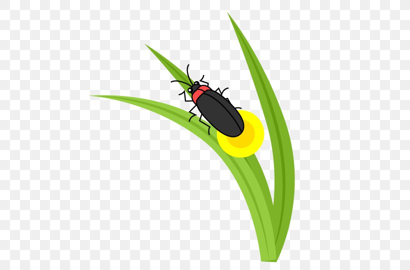 Ladybird Beetle Firefly Clip Art, PNG, 540x540px, Ladybird Beetle, Arthropod, Beetle, Clipgrab, Firefly Download Free