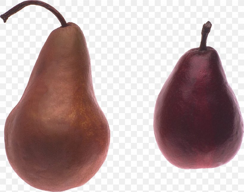 Pear Amygdaloideae Clip Art, PNG, 2512x1977px, Pear, Amygdaloideae, Family, Food, Fruit Download Free