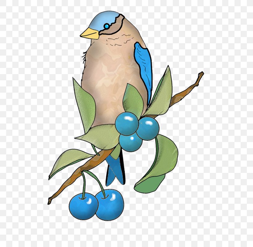 Clip Art Bird Illustration Adobe Photoshop, PNG, 584x800px, Bird, Beak, Branch, Color, Computer Software Download Free